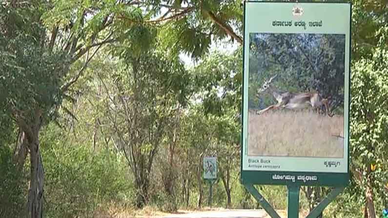 chitradurga vanyadhama 