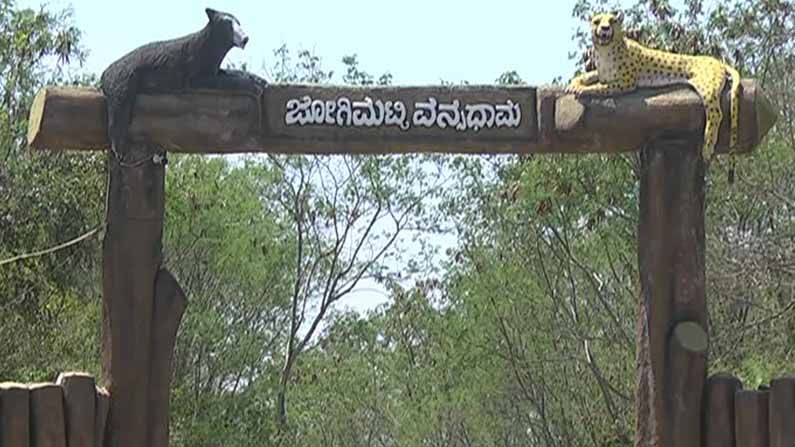 10 ಕಿಮೀ ವನ್ಯಧಾಮಕ್ಕೆ ಕಲ್ಲು ಬಿತ್ತು: ಕಲ್ಲು ಗಣಿಗಾರಿಕೆಗೆ ಅವಕಾಶ ನೀಡಲು ಸಂಚು ಮಾಡಿರುವ ಚಿತ್ರದುರ್ಗ ಅರಣ್ಯ ಇಲಾಖೆ 10 ಕಿಮೀ ವನ್ಯಧಾಮಕ್ಕೆ ಕಲ್ಲು ಬಿತ್ತು: ಕಲ್ಲು ಗಣಿಗಾರಿಕೆಗೆ ಅವಕಾಶ ನೀಡಲು ಸಂಚು ಮಾಡಿರುವ ಚಿತ್ರದುರ್ಗ ಅರಣ್ಯ ಇಲಾಖೆ