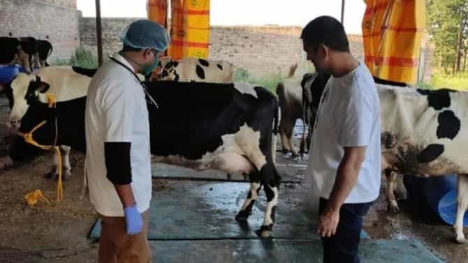 ಕಿಸಾನ್ ಮೇಳದಲ್ಲಿ ಧೋನಿ ಹಸುಗಳದ್ದೇ ಕಾರುಬಾರು.. ಅತ್ಯುತ್ತಮ ಗೋಪಾಲಕ ಪ್ರಶಸ್ತಿ ಪಡೆದ ಕ್ಯಾಪ್ಟನ್​ ಕೂಲ್​, ಫೋಟೋ ನೋಡಿ!