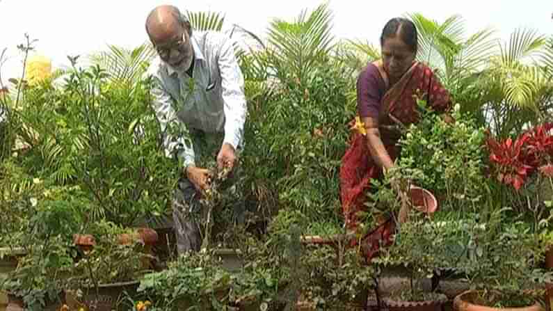 ನಿವೃತ್ತ ಕಂದಾಯ ಅಧಿಕಾರಿಯ ಹಸಿರು ಪ್ರೇಮ; ಮನೆಯ ಮಹಡಿಯ ಮೇಲೆ ನಿರ್ಮಾಣವಾಗಿದೆ ಮಿನಿ ಲಾಲ್​ಬಾಗ್