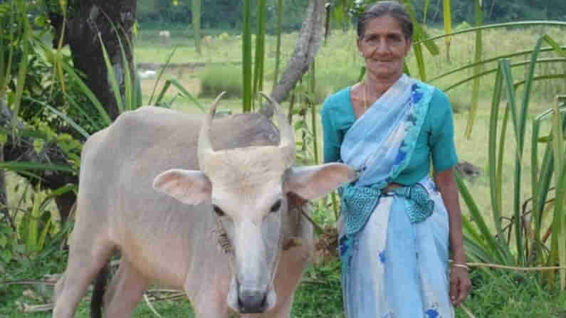 ಹಾಸನ: ಹಣಕ್ಕಾಗಿ ಹೆತ್ತ ತಾಯಿಯನ್ನೇ ಹತ್ಯೆಗೈದಿದ್ದ ಮಕ್ಕಳಿಬ್ಬರ ಸೆರೆ