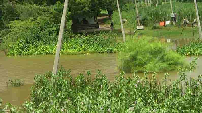 Tv9 Impact: 15 ವರ್ಷಗಳಿಂದ ಎದುರಿಸುತ್ತಿದ್ದ ಸಮಸ್ಯೆಗೆ ಸರ್ಕಾರದಿಂದ ಅಭಯ ಹಸ್ತ, ಸೊನ್ನ ಬ್ಯಾರೇಜ್ನಿಂದ ನಡುಗಡ್ಡೆಯಾಗ್ತಿದ್ದ ತಾರಾಪುರ ಸ್ಥಳಾಂತರಕ್ಕೆ ಸಿದ್ಧತೆ