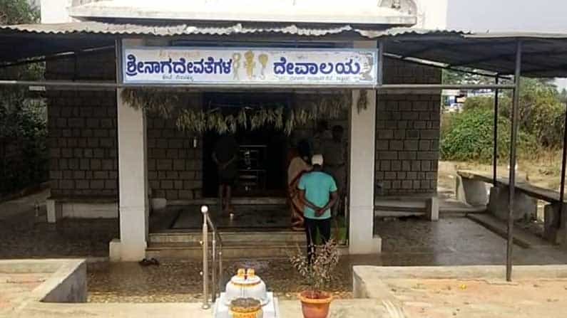 ದೇವನಹಳ್ಳಿಯ ಕೋಟೆ ನಾಗದೇವತೆ ದೇವಾಲಯದಲ್ಲಿ ಕಳ್ಳತನಕ್ಕೆ ಯತ್ನ