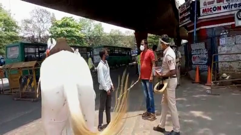 A youth rides horse to attend marriage party in kr market bangalore amid tight covid curfew guidelines 2