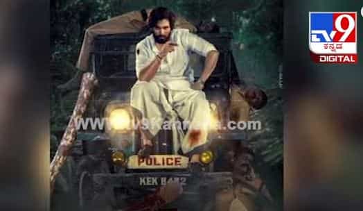 ನಟ ಅಲ್ಲು ಅರ್ಜುನ್ ಉಗ್ರ ಪುಷ್ಪಾ ರಾಜ್ ಪಾತ್ರ ಎಲ್ಲರ ಮನಸ್ಸು ಕದ್ದಿದೆ