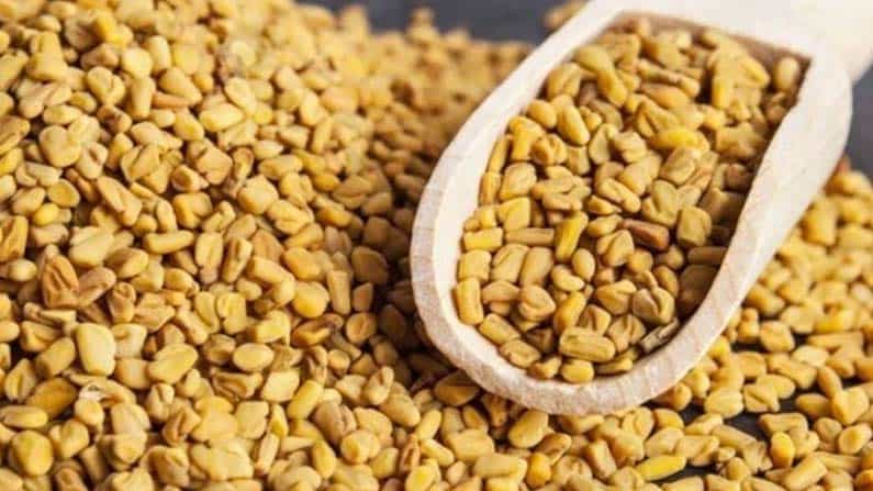 Healh Tips: ಮಧುಮೇಹಿಗಳಿಗೆ ಮೆಂತೆ ಮದ್ದು; ಸೊಪ್ಪಷ್ಟೇ ಅಲ್ಲ, ಕಾಳನ್ನೂ ಬಳಸಿ ಶುಗರ್ ಕಂಟ್ರೋಲ್ ಮಾಡಿಕೊಳ್ಳಿ Healh Tips: ಮಧುಮೇಹಿಗಳಿಗೆ ಮೆಂತೆ ಮದ್ದು; ಸೊಪ್ಪಷ್ಟೇ ಅಲ್ಲ, ಕಾಳನ್ನೂ ಬಳಸಿ ಶುಗರ್ ಕಂಟ್ರೋಲ್ ಮಾಡಿಕೊಳ್ಳಿ