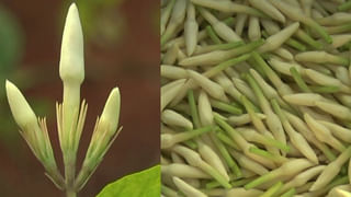 KSET Exam Date 2021: ಮುಂದೂಡಿದ್ದ ಕೆಸೆಟ್ ಪರೀಕ್ಷಾ ದಿನಾಂಕ ಪ್ರಕಟ