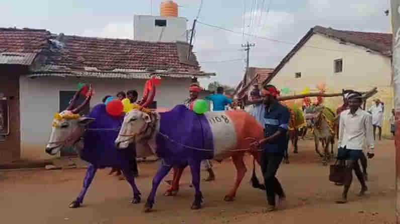 ದೇವರ ಜಮೀನು ಉಳಿಮೆ ಮಾಡುವ ಸಂಪ್ರದಾಯ ದಾವಣಗೆರೆಯಲ್ಲಿ ಜೀವಂತ; ಏನಂತ ನೀವೆ ನೋಡಿ