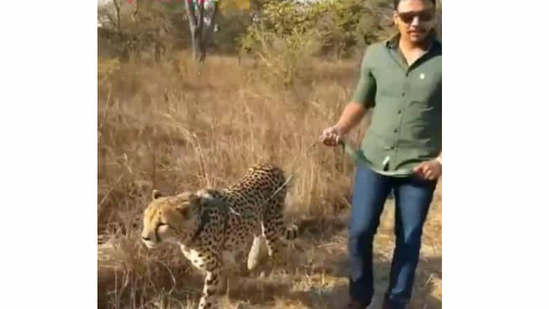 ಚಿರತೆ ಜತೆ ವಾಕಿಂಗ್ ಹೋದ ತೆಲಂಗಾಣ ರಾಜಕಾರಣಿ! ವಿಡಿಯೋ ವೈರಲ್