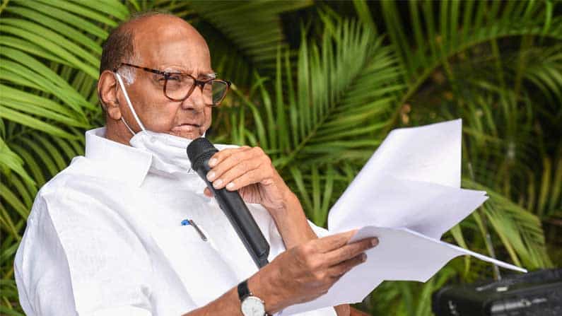 ಆರ್ಜೇರಿಯ ಶರದ್ಚಂದ್ರಾಜಿ: ಮಹಾರಾಷ್ಟ್ರದಲ್ಲಿ ಪತ್ತೆಯಾದ ಹೊಸ ಪ್ರಭೇದದ ಗಿಡಕ್ಕೆ ಶರದ್ ಪವಾರ್ ಹೆಸರು ಆರ್ಜೇರಿಯ ಶರದ್ಚಂದ್ರಾಜಿ: ಮಹಾರಾಷ್ಟ್ರದಲ್ಲಿ ಪತ್ತೆಯಾದ ಹೊಸ ಪ್ರಭೇದದ ಗಿಡಕ್ಕೆ ಶರದ್ ಪವಾರ್ ಹೆಸರು