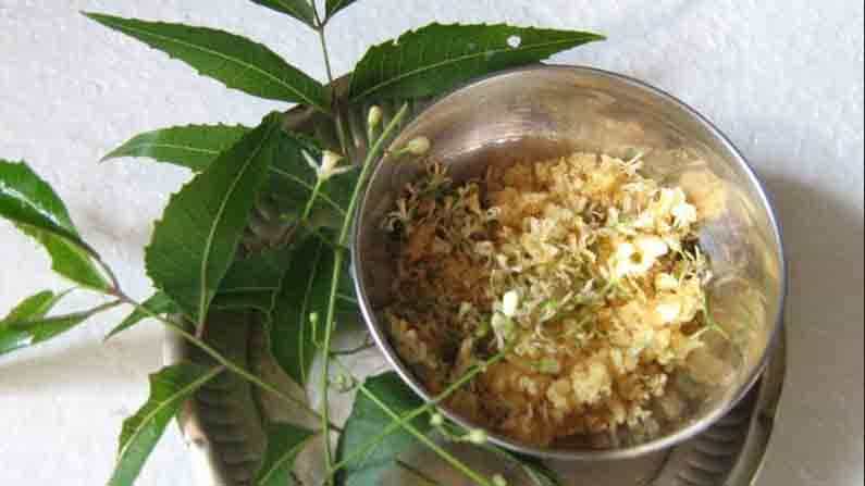 ಚಾಂದ್ರಮಾನ ಯುಗಾದಿಗೆ ರಾಷ್ಟ್ರಪತಿ, ಪ್ರಧಾನಿ ಸೇರಿದಂತೆ ಹಲವು ಗಣ್ಯರ ಶುಭ ಹಾರೈಕೆ ಚಾಂದ್ರಮಾನ ಯುಗಾದಿಗೆ ರಾಷ್ಟ್ರಪತಿ, ಪ್ರಧಾನಿ ಸೇರಿದಂತೆ ಹಲವು ಗಣ್ಯರ ಶುಭ ಹಾರೈಕೆ