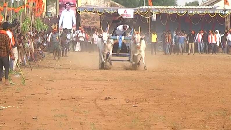 ಕೊರೊನಾ ಆತಂಕದ ನಡುವೆಯೂ ಚಿತ್ರದುರ್ಗದಲ್ಲಿ ನಡೆಯಿತು ಅದ್ದೂರಿ ಜೋಡೆತ್ತಿನ ಸ್ಪರ್ಧೆ