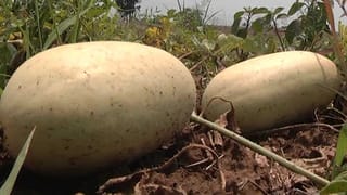 ಧಾರವಾಡದಲ್ಲಿ ನಡೆದ ಸ್ವಚ್ಛತಾ ಸ್ಪರ್ಧೆ; ವಿಭಿನ್ನ ಸವಾಲಿಗೆ ಸಾಕ್ಷಿಯಾದ ಸಾರ್ವಜನಿಕರು