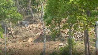 ಮತ್ತೆ ಶುರುವಾದ ನಕಲಿ ಚಿನ್ನದ ದಂಧೆ; 4.80 ಲಕ್ಷ ರೂಪಾಯಿ ವಂಚಿಸಿದ ಓರ್ವನ ಬಂಧನ