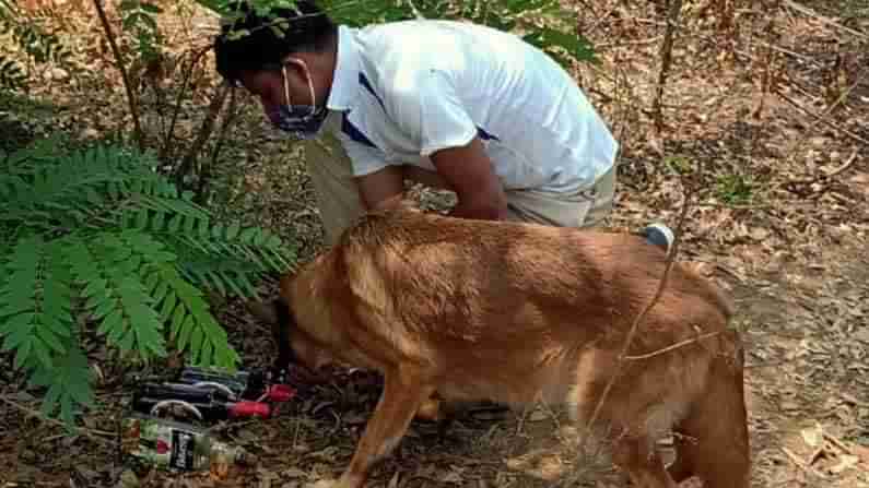 ಹುಬ್ಬಳ್ಳಿಯಲ್ಲಿ ಯುವಕನ ಭೀಕರ ಹತ್ಯೆ; ರುಂಡ, ಮುಂಡ ಪ್ರತ್ಯೇಕ ಸ್ಥಳಗಳಲ್ಲಿ ಪತ್ತೆ