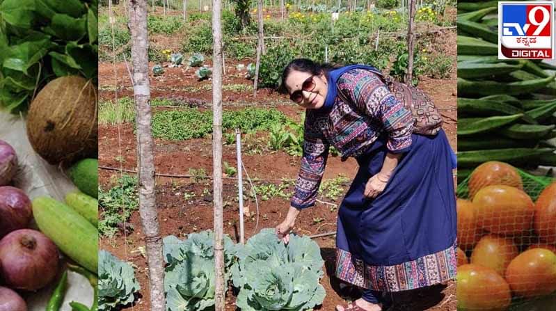 ಶರಣು ಮಣ್ಣಿಗೆ : ನನಗೂ ‘ಗ್ರೀನ್ ಥಂಬ್‘ ಇದೆ ಗೊತ್ತಾ?