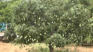 ಗಂಡನನ್ನು ಬಿಟ್ಟು ಬಂದವಳಿಗೆ ಮಚ್ಚಿನಿಂದ ಕೊಚ್ಚಿಕೊಂದ ಪ್ರಿಯಕರ..