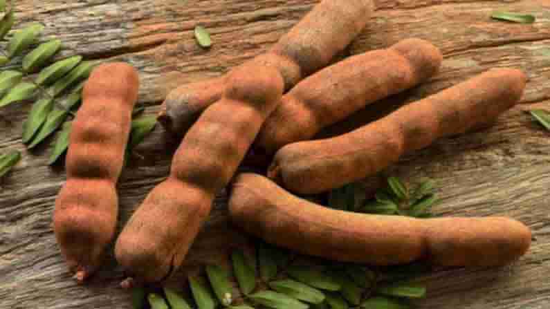 Tamarind Health Benefits: ರೋಗ ನಿರೋಧಕ ಶಕ್ತಿ ಹೆಚ್ಚಿಸಿಕೊಳ್ಳಲು ಹುಣಸೆ ಹಣ್ಣಿನ ಸೇವನೆ ಅಭ್ಯಾಸ ಮಾಡಿಕೊಳ್ಳಿ