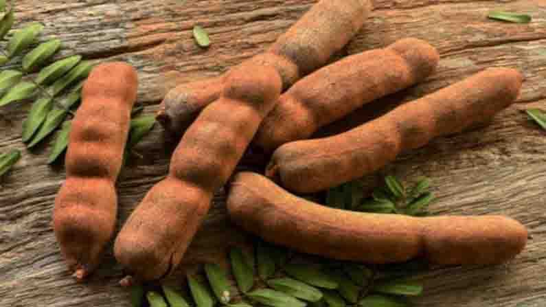 Tamarind Health Benefits: ರೋಗ ನಿರೋಧಕ ಶಕ್ತಿ ಹೆಚ್ಚಿಸಿಕೊಳ್ಳಲು ಹುಣಸೆ ಹಣ್ಣಿನ ಸೇವನೆ ಅಭ್ಯಾಸ ಮಾಡಿಕೊಳ್ಳಿ