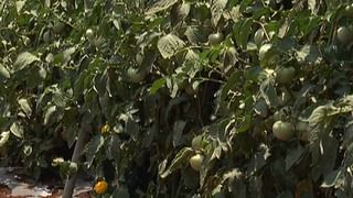 ಅಂತ್ಯಕ್ರಿಯೆಗೆ 60 ಸಾವಿರ ರೂ ಡಿಮ್ಯಾಂಡ್ ಮಾಡಿದ ಆ್ಯಂಬುಲೆನ್ಸ್ ಸಿಬ್ಬಂದಿ | ಮಾಂಗಲ್ಯ ಸರ ಮಾರಲು ಮುಂದಾದ ಮಗಳು