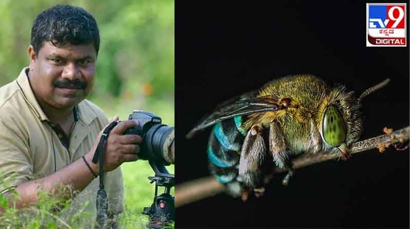Earth Day 2021 : ಎಲ್ಲಿದ್ದೀಯೋ? ಇಲ್ಲಿ ಯಾವುದೂ ಹರಿಯುವ ಕಡೆ ಹರಿಯುತ್ತಿಲ್ಲ ನನ್ನ ಗೂಗಲ್ ತೋಲಣ್ಣ...