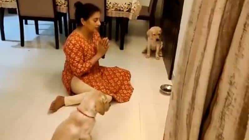 ಪ್ರಾರ್ಥನೆ ಮಾಡಿದ ಬಳಿಕವೇ ಆಹಾರ ಸೇವಿಸುವ ನಾಯಿಮರಿಗಳು; ವಿಡಿಯೋ ವೈರಲ್ ಪ್ರಾರ್ಥನೆ ಮಾಡಿದ ಬಳಿಕವೇ ಆಹಾರ ಸೇವಿಸುವ ನಾಯಿಮರಿಗಳು; ವಿಡಿಯೋ ವೈರಲ್