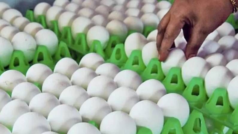 Wholesale Price Index Inflation: ಹಣದುಬ್ಬರದ ಎಫೆಕ್ಟ್ಗೆ ಏಪ್ರಿಲ್ನಲ್ಲಿ ಮಾಂಸಾಹಾರಿಗಳಿಗೆ ದುಬಾರಿ, ಸಸ್ಯಾಹಾರಿ ಸಸ್ತಾ ರೀ Wholesale Price Index Inflation: ಹಣದುಬ್ಬರದ ಎಫೆಕ್ಟ್ಗೆ ಏಪ್ರಿಲ್ನಲ್ಲಿ ಮಾಂಸಾಹಾರಿಗಳಿಗೆ ದುಬಾರಿ, ಸಸ್ಯಾಹಾರಿ ಸಸ್ತಾ ರೀ