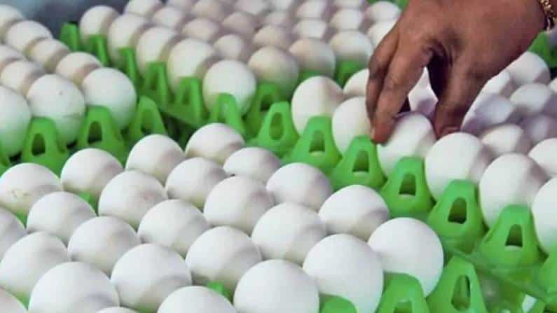 Retail Inflation: ಜುಲೈ ತಿಂಗಳ ಚಿಲ್ಲರೆ ಹಣದುಬ್ಬರ ದರದಲ್ಲಿ ಅಲ್ಪ ಪ್ರಮಾಣದಲ್ಲಿ ಇಳಿಕೆ ಕಂಡು ಶೇ 5.59ಕ್ಕೆ Retail Inflation: ಜುಲೈ ತಿಂಗಳ ಚಿಲ್ಲರೆ ಹಣದುಬ್ಬರ ದರದಲ್ಲಿ ಅಲ್ಪ ಪ್ರಮಾಣದಲ್ಲಿ ಇಳಿಕೆ ಕಂಡು ಶೇ 5.59ಕ್ಕೆ