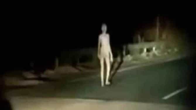 Viral Video: ಕತ್ತಲಲ್ಲಿ ಸೇತುವೆ ಮೇಲೆ ಕಂಡುಬಂದ ಆಕೃತಿ ದೆವ್ವವೂ ಅಲ್ಲ, ಏಲಿಯನ್ ಕೂಡ ಅಲ್ಲ; ಮತ್ತೇನು?!