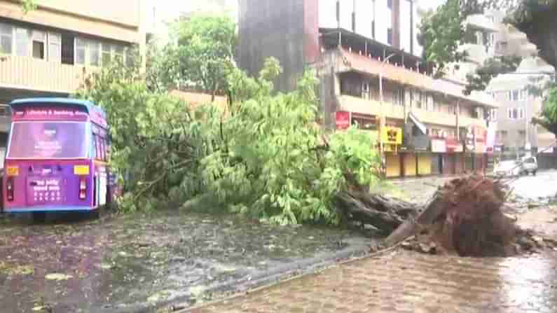 Cyclone Tauktae: ಗೋವಾದಲ್ಲಿ ತೌಕ್ತೆ ಚಂಡಮಾರುತದ ಅಬ್ಬರಕ್ಕೆ 200ಕ್ಕಿಂತಲೂ ಹೆಚ್ಚು ಮನೆಗಳಿಗೆ ಹಾನಿ, ಇಬ್ಬರು ಸಾವು