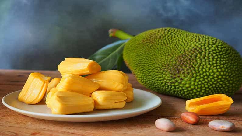 Jackfruit: ಹಲಸಿನ ಹಣ್ಣಿನ ಆರೋಗ್ಯಯುತ ಗುಣಗಳ ಬಗ್ಗೆ ತಿಳಿದರೆ ಒಂದು ಹಣ್ಣನ್ನೂ ಹಾಳು ಮಾಡುವುದಿಲ್ಲ Jackfruit: ಹಲಸಿನ ಹಣ್ಣಿನ ಆರೋಗ್ಯಯುತ ಗುಣಗಳ ಬಗ್ಗೆ ತಿಳಿದರೆ ಒಂದು ಹಣ್ಣನ್ನೂ ಹಾಳು ಮಾಡುವುದಿಲ್ಲ