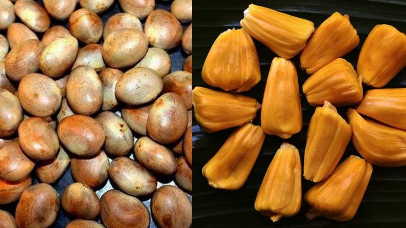 Jackfruit Seeds: ಹಲಸಿನ ಬೀಜವನ್ನು ಬಿಸಾಡುವವರೇ ಹೆಚ್ಚು; ಆರೋಗ್ಯ ಪ್ರಯೋಜನ ಎಷ್ಟಿದೆ ತಿಳಿದು ಸೇವಿಸುವ ಅಭ್ಯಾಸ ಒಳ್ಳೆಯದು