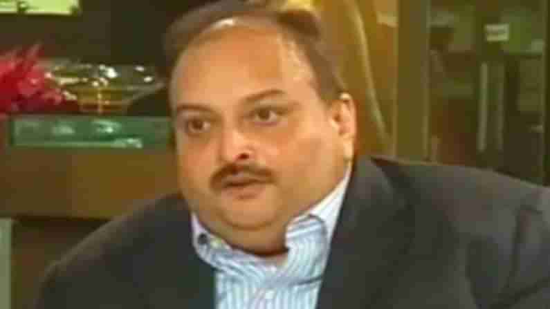 Mehul Choksi: ದೇಶಭ್ರಷ್ಟ ವಜ್ರ ವ್ಯಾಪಾರಿ ಮೆಹುಲ್ ಚೋಸ್ಕಿ ಡೊಮಿನಿಕಾದಲ್ಲಿ ಅರೆಸ್ಟ್​; ಕ್ಯೂಬಾಕ್ಕೆ ಹೊರಡಲು ನಡೆದಿತ್ತು ಸಿದ್ಧತೆ