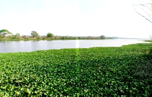 Muthanallur lake in South Bengaluru 1