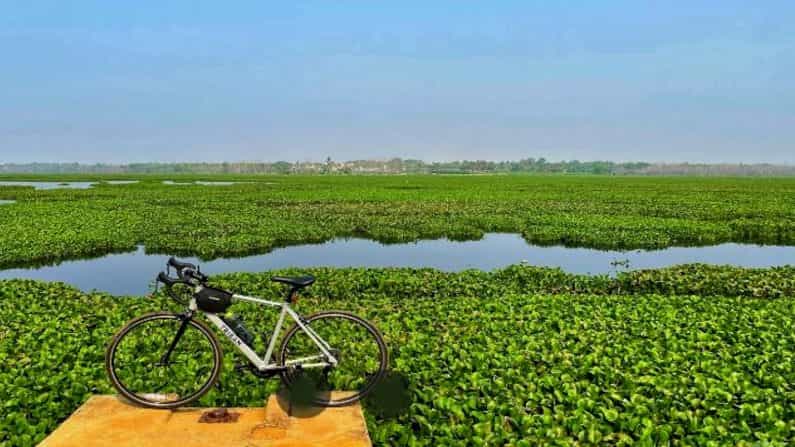 Oxygen Shortage: ಮುತ್ತನಲ್ಲೂರು ಕೆರೆಯಲ್ಲಿ ನೂರಾರು ಮೀನುಗಳ ಸಾವು, ಮಾಲಿನ್ಯವೇ ಇದಕ್ಕೆ ಕಾರಣವೆಂದ ಸ್ಥಳೀಯರು Oxygen Shortage: ಮುತ್ತನಲ್ಲೂರು ಕೆರೆಯಲ್ಲಿ ನೂರಾರು ಮೀನುಗಳ ಸಾವು, ಮಾಲಿನ್ಯವೇ ಇದಕ್ಕೆ ಕಾರಣವೆಂದ ಸ್ಥಳೀಯರು