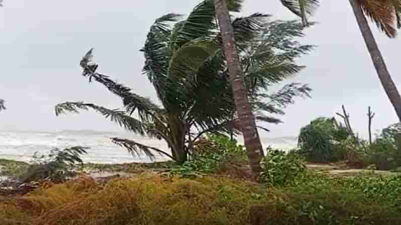 Cyclone Tauktae in Karnataka: ತೌಕ್ತೆ ಚಂಡಮಾರುತದಿಂದ ರಾಜ್ಯಕ್ಕೆ ಆದ ಹಾನಿಯೆಷ್ಟು? ಇಲ್ಲಿದೆ ವಿವರ