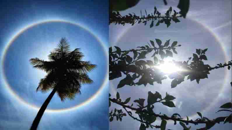 Sun Halo ಬೆಂಗಳೂರಿನ ತಿಳಿ ಆಗಸದಲ್ಲಿ ಸೂರ್ಯನ ಸುತ್ತ ಬೆಳಕಿನ ಉಂಗುರ, ಏನಿದು ಸೌರಪ್ರಭೆ?