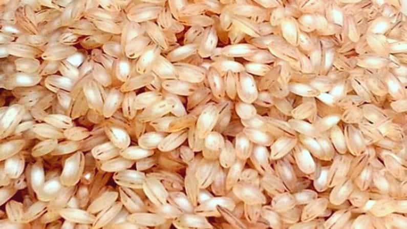 ದಕ್ಷಿಣ ಕನ್ನಡ- ಉಡುಪಿ ಜನರಿಗೆ ಸಿಹಿ ಸುದ್ದಿ: ಇನ್ನು ಮುಂದೆ ರೇಶನ್ ಮೂಲಕ ಕೆಂಪು ಕುಚ್ಚಲಕ್ಕಿ ಪೂರೈಕೆ - ಉಸ್ತುವಾರಿ ಸಚಿವ ಪೂಜಾರಿ ದಕ್ಷಿಣ ಕನ್ನಡ- ಉಡುಪಿ ಜನರಿಗೆ ಸಿಹಿ ಸುದ್ದಿ: ಇನ್ನು ಮುಂದೆ ರೇಶನ್ ಮೂಲಕ ಕೆಂಪು ಕುಚ್ಚಲಕ್ಕಿ ಪೂರೈಕೆ - ಉಸ್ತುವಾರಿ ಸಚಿವ ಪೂಜಾರಿ