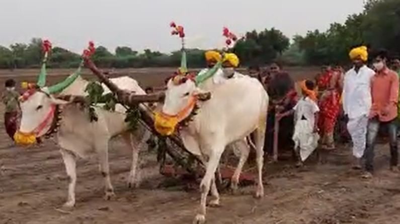 ಎತ್ತುಗಳಿಗೆ ಮಾಸ್ಕ್ ಹಾಕಿ ಕೂರಿಗೆ ಪೂಜೆ ನಡೆಸಿದ ಬಾಗಲಕೋಟೆಯ ರೈತ ಕುಟುಂಬ