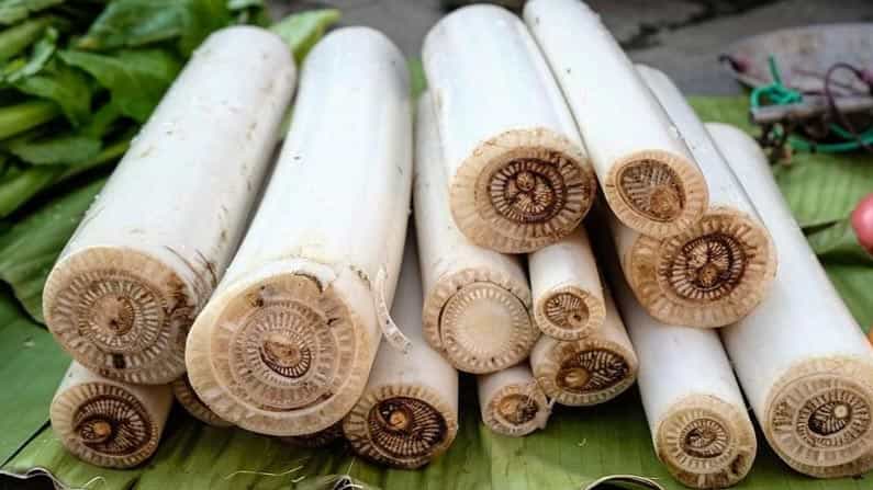 ಖಾಲಿ ಹೊಟ್ಟೆಯಲ್ಲಿ ಬಾಳೆ ದಿಂಡಿನ ರಸ ಸೇವಿಸಿ; ವರ್ಷಕ್ಕೆ ಎರಡು ಬಾರಿಯಾದರು ಊಟದ ಜೊತೆಗೆ ಪಲ್ಯ ಮಾಡಿ ಬಡಿಸಿ ಖಾಲಿ ಹೊಟ್ಟೆಯಲ್ಲಿ ಬಾಳೆ ದಿಂಡಿನ ರಸ ಸೇವಿಸಿ; ವರ್ಷಕ್ಕೆ ಎರಡು ಬಾರಿಯಾದರು ಊಟದ ಜೊತೆಗೆ ಪಲ್ಯ ಮಾಡಿ ಬಡಿಸಿ