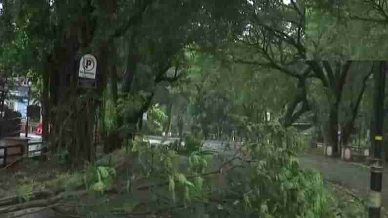 cyclone tauktae ಕೇರಳದಲ್ಲಿ ಇಬ್ಬರು ಬಲಿ, ಮುಂಬೈನಲ್ಲಿ ಆಸ್ಪತ್ರೆಯಿಂದ 580 ಕೊರೊನಾ ಸೋಂಕಿತರ ಸ್ಥಳಾಂತರ