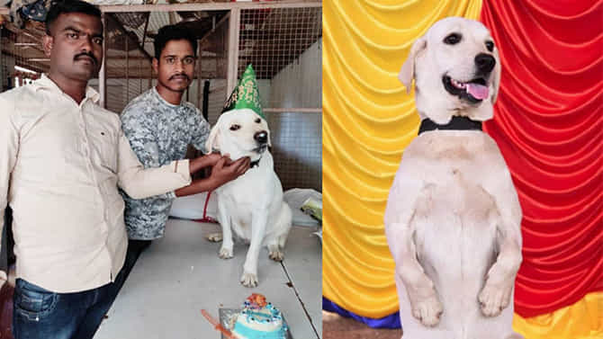 ಹಾವೇರಿಯಲ್ಲಿ  ಶ್ವಾನಕ್ಕೆ ಹುಟ್ಟುಹಬ್ಬದ ಸಂಭ್ರಮ; ಕೆಕ್​ ಕತ್ತರಿಸಿ ಕನಕನಿಗೆ ಶುಭಕೋರಿದ ಪೊಲೀಸರು