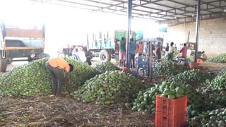 ಬೆಂಗಳೂರಿನಲ್ಲಿ ಯುವತಿ ಮೇಲೆ ಸಾಮೂಹಿಕ ಅತ್ಯಾಚಾರ; ಖಾಸಗಿ ಭಾಗಕ್ಕೆ ಒದ್ದು ವಿಡಿಯೋ ವೈರಲ್​ ಮಾಡಿದ ಕಾಮುಕರು ಅರೆಸ್ಟ್​