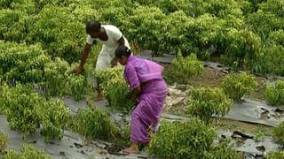 ದಲಿತ ಯುವಕನಿಗೆ ಮೂತ್ರ ಕುಡಿಸಿದ ಆರೋಪ ಪ್ರಕರಣ; ಯುವಕನ ವಿರುದ್ಧ ಎಫ್‌ಐಆರ್ ದಾಖಲು