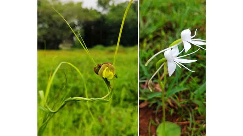 biodiversity day