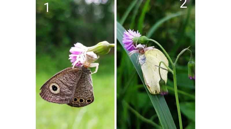 biodiversity day