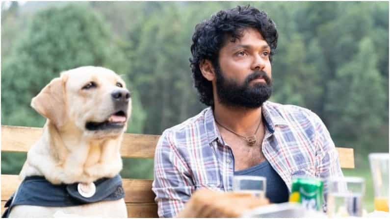 777 Charlie Teaser: 5 ಭಾಷೆಯಲ್ಲಿ ಮೊದಲ ದಿನವೇ ರಕ್ಷಿತ್ ಶೆಟ್ಟಿಯ 777 ಚಾರ್ಲಿ ಟೀಸರ್​ಗೆ ಸಿಕ್ಕ ವೀವ್ಸ್ ಎಷ್ಟು?​