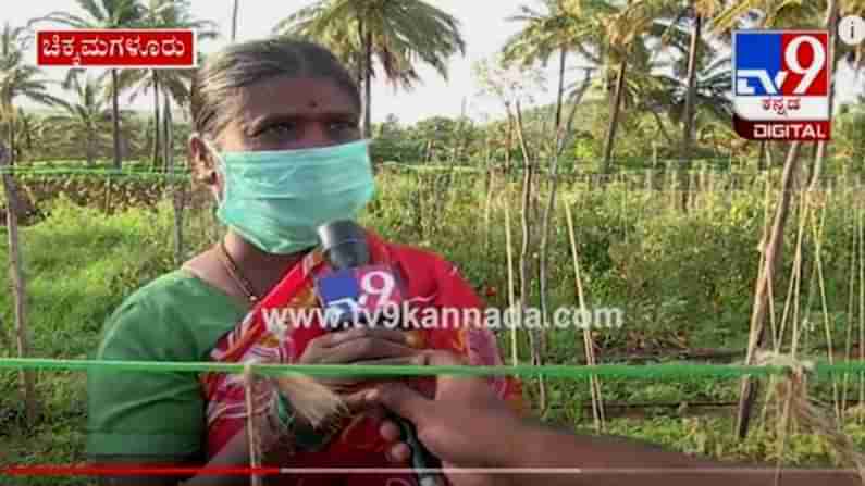 Chikkamagaluru Farmers: ಸಾಲ ಮಾಡಿ ಬೆಳೆದ ಬೆಳೆ ಕೊಳೆತಿದೆ ಸರ್, ಹಿಂಗಾದ್ರೆ ಜೀವನ ಹೇಗೆ ಮಾಡೋದು?