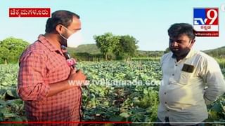 Chikkamagaluru Farmers: ಸಾಲ ಮಾಡಿ ಬೆಳೆದ ಬೆಳೆ ಕೊಳೆತಿದೆ ಸರ್, ಹಿಂಗಾದ್ರೆ ಜೀವನ ಹೇಗೆ ಮಾಡೋದು?