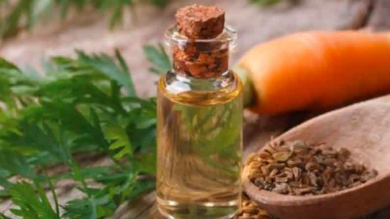 Carrot Benefits: ಮುಖದ ಸೌಂದರ್ಯವನ್ನು ಹೆಚ್ಚಿಸಿಕೊಳ್ಳಲು ಕ್ಯಾರೆಟ್ ಬೀಜದಿಂದ ತಯಾರಿಸಿದ ತೈಲವನ್ನು ಬಳಸಿ Carrot Benefits: ಮುಖದ ಸೌಂದರ್ಯವನ್ನು ಹೆಚ್ಚಿಸಿಕೊಳ್ಳಲು ಕ್ಯಾರೆಟ್ ಬೀಜದಿಂದ ತಯಾರಿಸಿದ ತೈಲವನ್ನು ಬಳಸಿ